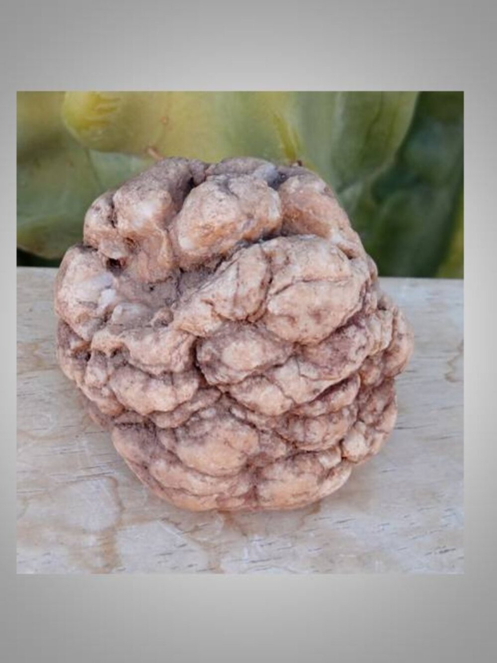 pinecone shaped rock stone